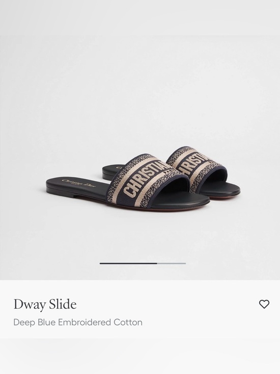 Dior Shoes - Dior Deep Blue and Beige Embroidered Slide Sandals